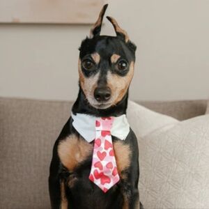 Dog tie, dog costume, Valentine's Day costume, Halloween costume